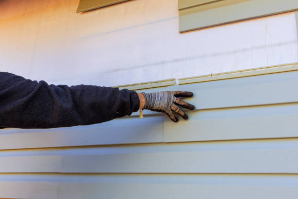 Best Siding Removal and Disposal  in Coal Grove, OH